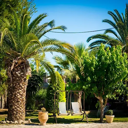 Denise Città di Zante